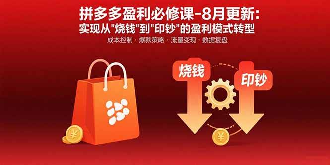 （15771期）拼多多盈利必修课-8月更新：突破运营瓶颈 实现从烧钱到印钞的盈利模式转型-网亿资源平台