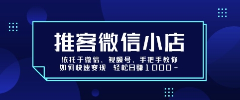 推客微信小店依托于微信、视频号，手把手教你如何快速变现 轻松日入1k+【揭秘】-邪修侠 - 演示
