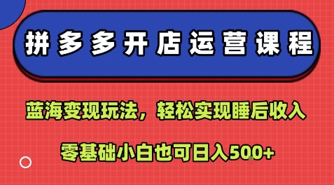 拼多多开店运营课程：蓝海变现玩法，轻松实现睡后收入，零基础小白也可日入5张-网亿资源平台