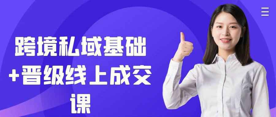 跨境私域基础+晋级线上成交课-网亿资源平台