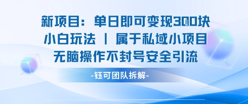 新项目单日即可变现3张的小白玩法无脑操作不封号安全引流-邪修侠