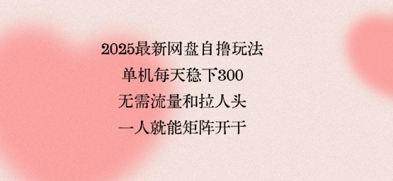 2025最新网盘自撸玩法,单机每天稳下3张,无需流量和拉人头,一个人就可轻松矩阵,全网独一份【揭秘】-邪修侠 - 演示