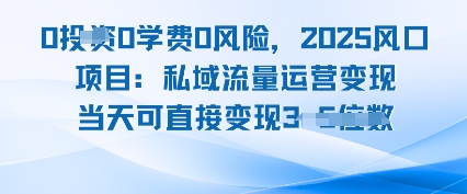 0学费0风险，2025风口项目：私域流量运营变现，当天可直接变现-网亿资源平台