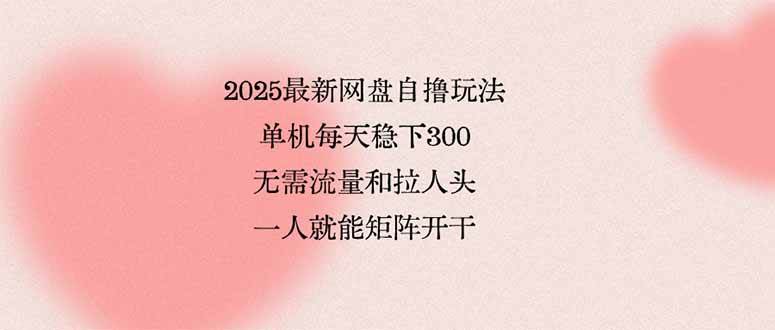 （15831期）2025最新网盘自撸玩法，单机每天稳下3张，无需流量和拉人头，一个人就…-网亿资源平台