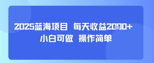 2025蓝海项目 每天收益多张 小白可做 操作简单-网亿资源平台
