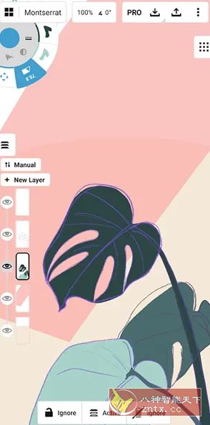 概念画板 v2025.07.4 高级版-网亿资源平台