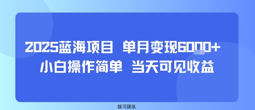 2025蓝海项目 单月变现6k+ 小白操作简单 当天可见收益-网亿资源平台