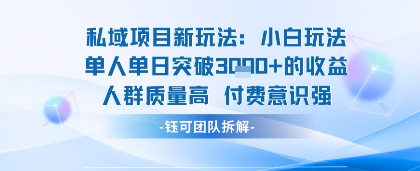 私域项目新玩法小白玩法单人单日突破1k的收益人群质量高付费意识强-网亿资源平台