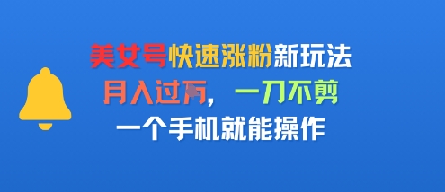 美女号快速涨粉新玩法，月入过W，一刀不剪，一个手机就能操作-网亿资源平台