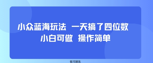 小众蓝海玩法 一天搞了四位数 小白可做 操作简单-邪修侠 - 演示
