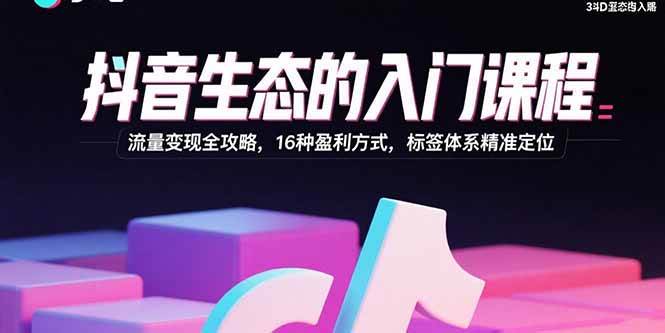 （15856期）抖音生态的入门课程：流量变现全攻略，16种盈利方式，标签体系精准定位-网亿资源平台
