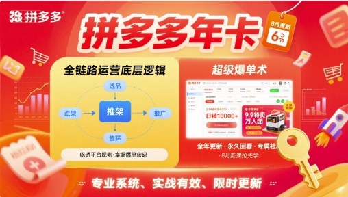 拼多多年卡【8月更新6节】拼多多全链路运营底层逻辑，超级爆单术-网亿资源平台