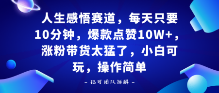 人生感悟赛道，每天只要十分钟，爆款点赞10W+，涨粉带货太猛了，小白可玩，操作简单-网亿资源平台