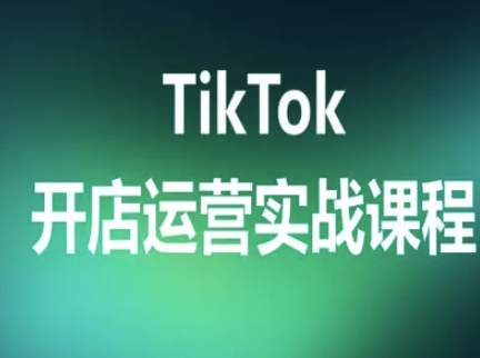 TikTok开店运营实战课程，TK跨境电商实操全流程-网亿资源平台
