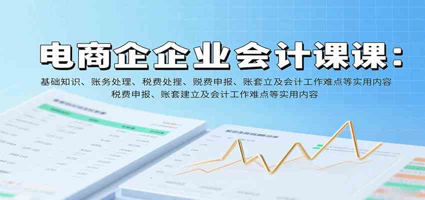 电商企业会计课：基础知识、账务处理、税费申报、账套建立及会计工作难点等实用内容-网亿资源平台