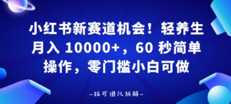 小红书新赛道机会，轻养生月入 1w，60 秒简单操作，带货接广都可以，零门槛小白可做-网亿资源平台
