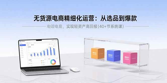 （15896期）无货源电商精细化运营：从选品到爆款，实现轻资产高回报(40+节系统课)-网亿资源平台