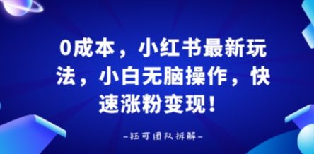 0成本，小红书最新玩法，小白无脑操作，快速涨粉变现-邪修侠 - 演示