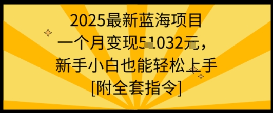 2025最新蓝海项目一个月变现1w+新手小白也能轻松上手【附全套指令】-邪修侠 - 演示