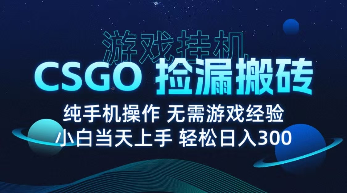 9月最新游戏搬砖，CSGO纯挂机，不需要玩游戏，实现真挂机，月入1W+-网亿资源平台