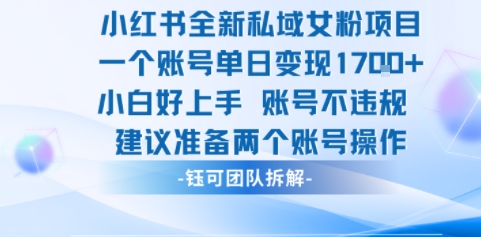 小红书全新私域女粉项目 单日变现1k+ 小白好上手账号不违规-网亿资源平台