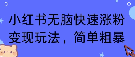 小红书无脑快速涨粉变现玩法，简单粗暴-网亿资源平台