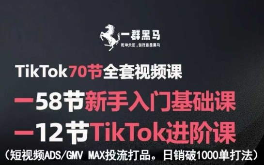 TikTok全套视频课，新手入门+进阶课，短视频ADS-GMV MAX投流打品，日销破1000单打法-邪修侠 - 演示