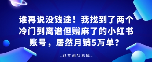 谁再说没钱途！我找到了两个冷门到离谱但賺麻了的小红书账号，居然月销5W单？-网亿资源平台