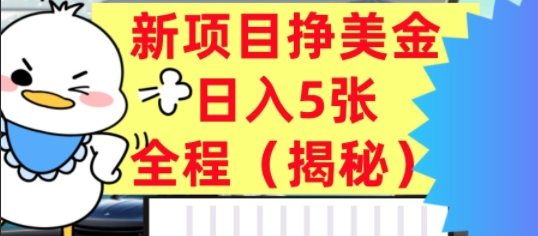 最新挣美金项目，日入5张，全程揭秘，小白也能轻松入手，长久被动收入-网亿资源平台