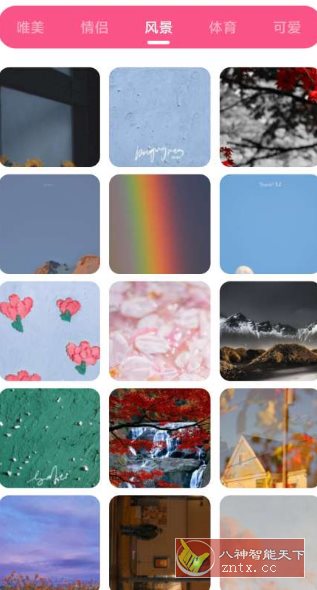 皮皮壁纸 v1.3纯净版-网亿资源平台