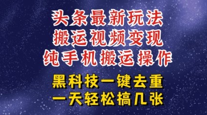 今日头条纯搬运玩法，轻松过原创不违规，轻松日入三位数，稳的很-网亿资源平台