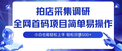 拍店采集调研，全网首码项目，简单易操作， 小白也能轻松上手，多账号操作，轻松日入5张【揭秘】-邪修侠 - 演示