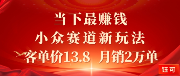 当下最挣钱的小众赛道 小红书新玩法10个作品涨粉3W，客单价13.8 月销2W单-网亿资源平台