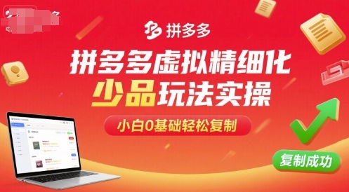 拼多多虚拟精细化少品玩法实操，小白0基础轻松复制-网亿资源平台