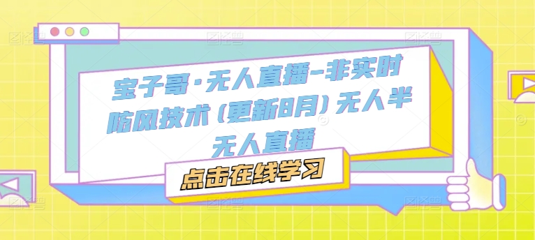 宝子哥·无人直播-非实时防风技术(更新25年8月)无人半无人直播-邪修侠 - 演示