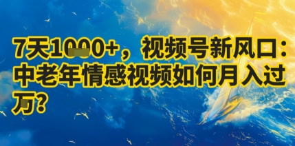 7天收益1k+，视频号新风口：中老年情感视频如何月入过W?-网亿资源平台