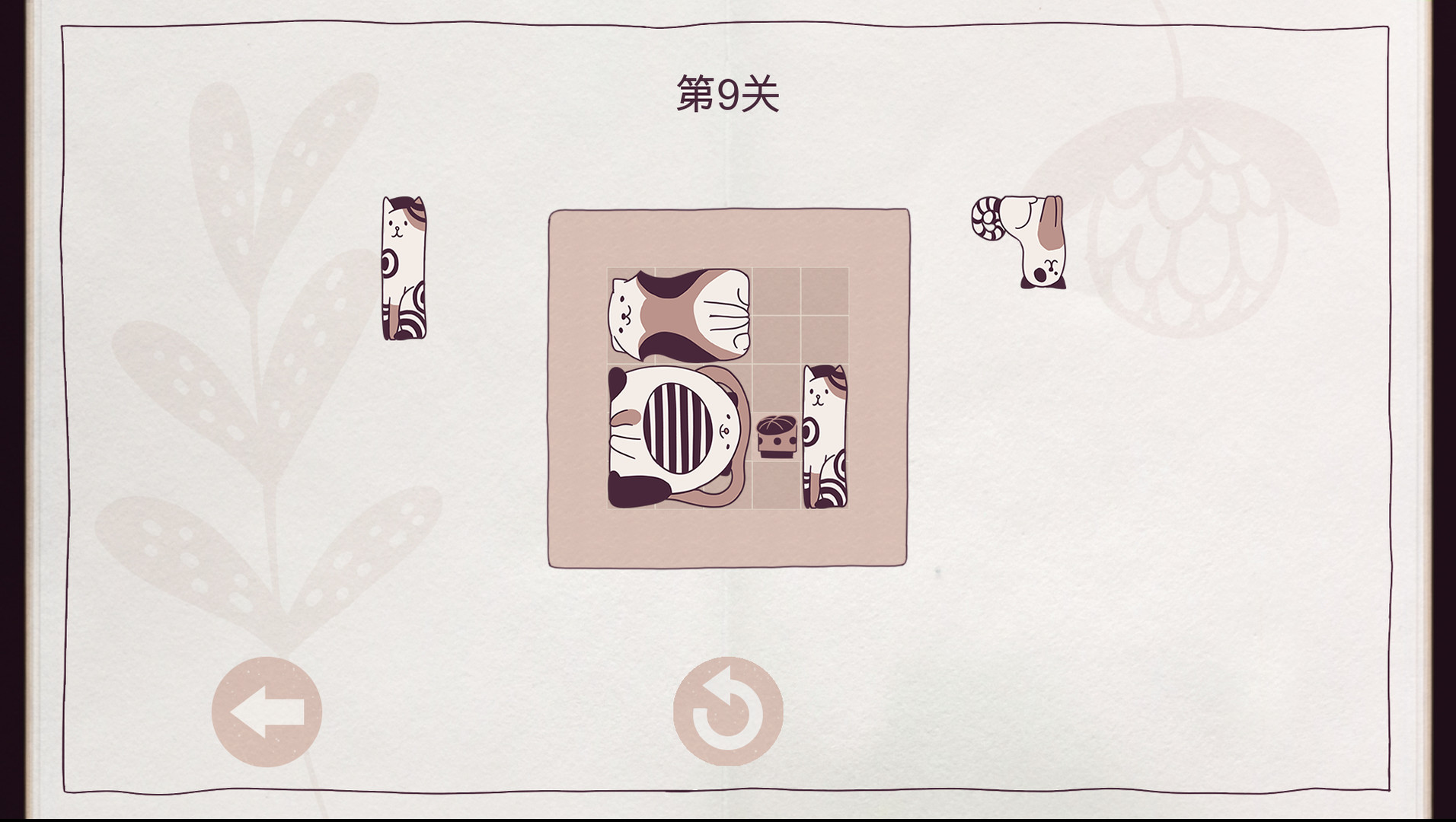 井然有猫/Cats Organized Neatly-网亿资源平台