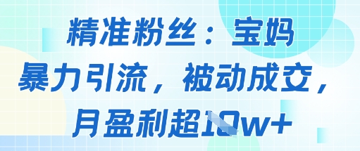 精准粉丝：宝妈暴力引流方法，被动成交，月盈利超1w+-网亿资源平台