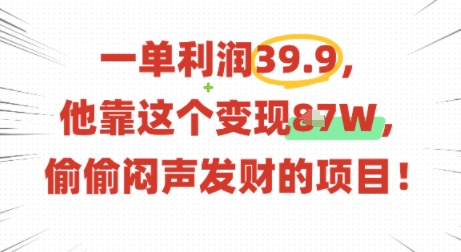 一单利润39.9,有人靠这个变现几十个,偷偷闷声发财的项目-邪修侠 - 演示