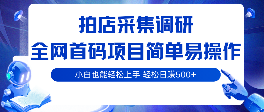 拍店采集调研，全网首码项目，简单易操作， 小白也能轻松上手，轻松日赚500+-网亿资源平台