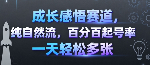 成长感悟赛道，纯自然流，百分百起号率 一天轻松多张-网亿资源平台