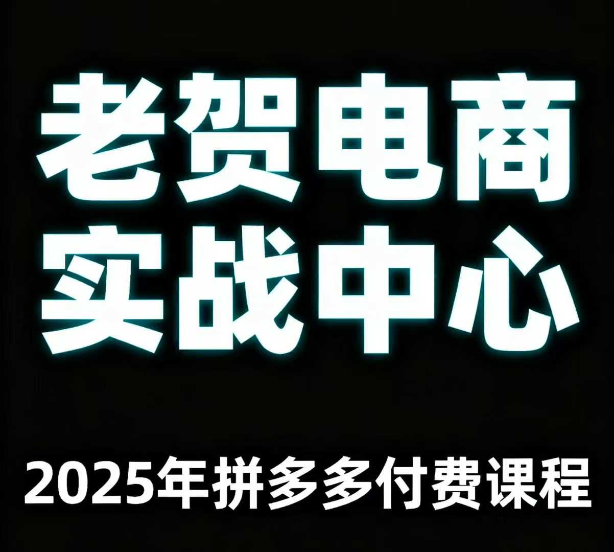 老贺电商2025年拼多多付费课程，用通俗易懂的方法告诉你多多怎么玩-网亿资源平台