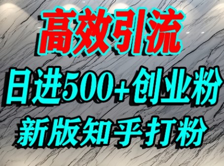 怎么打创业粉，知乎超高权重流量平台，打粉引流，日进500+精准创业粉不是问题-邪修侠 - 演示