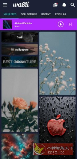 Walli Pro 4K壁纸 2.12.89高级版-网亿资源平台