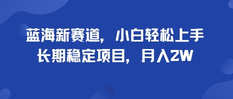 蓝海新赛道，小白轻松上手，长期稳定项目，月入2W-网亿资源平台