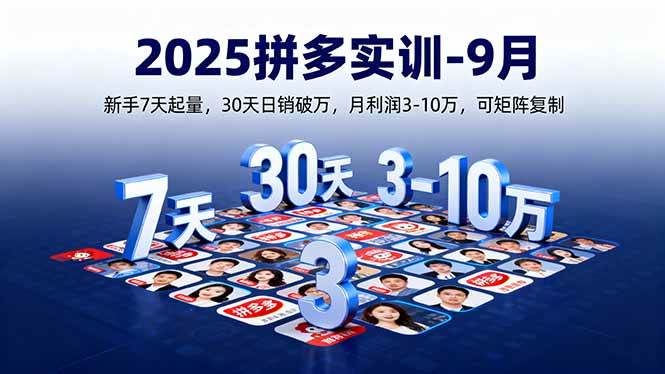 （16008期）2025拼多多实训-9月：新手7天起量,30天日销破万,月利润3-10万,可矩阵复制-网亿资源平台