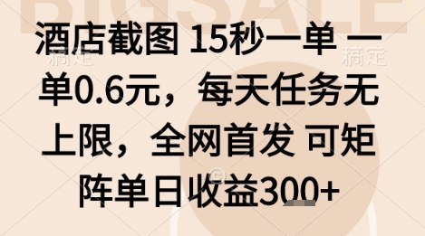 酒店截图项目,15秒一单,一单0.6米,每天任务无上限,全网首发可矩阵单日收益3张+【揭秘】-邪修侠 - 演示