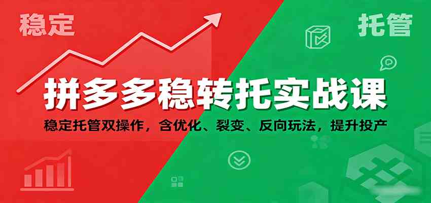 拼多多稳转托实战课：稳定托管双操作，含优化、裂变、反向玩法，提升投产-网亿资源平台