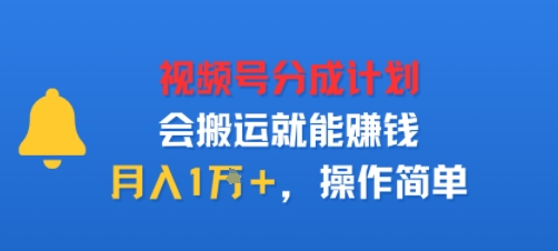 视项号分成计划会搬运就能賺钱，月入1W+，操作简单-网亿资源平台