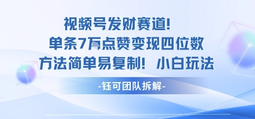 视频号发财赛道单条7W点赞变现四位数方法简单易复制小白玩法-网亿资源平台
